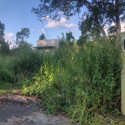 📍 Location: , Kandy, Kiribathkumbura-3