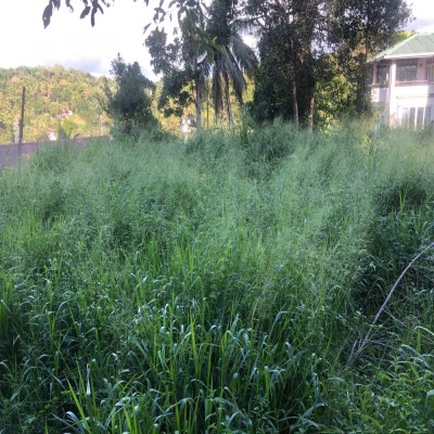 📍 Location: , Kandy, Kiribathkumbura-2