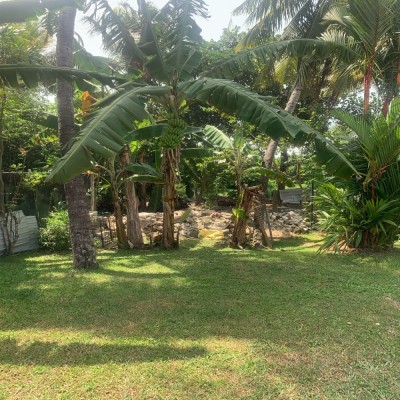 Land for Sale in Nawala-5