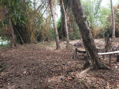 Massive Island type commercial land for urgent sale in Katunayake-4