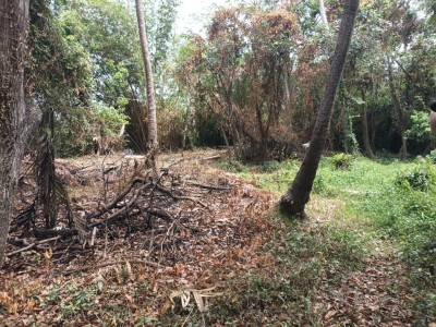 Massive Island type commercial land for urgent sale in Katunayake-3