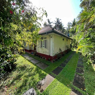 Land for Sale in Talpe