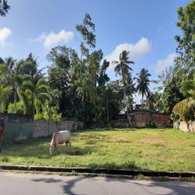 Land for Sale in Galle