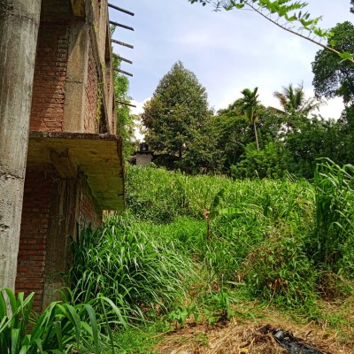 Land for Sale – Katugastota (Ekemuthu Mawatha)-5