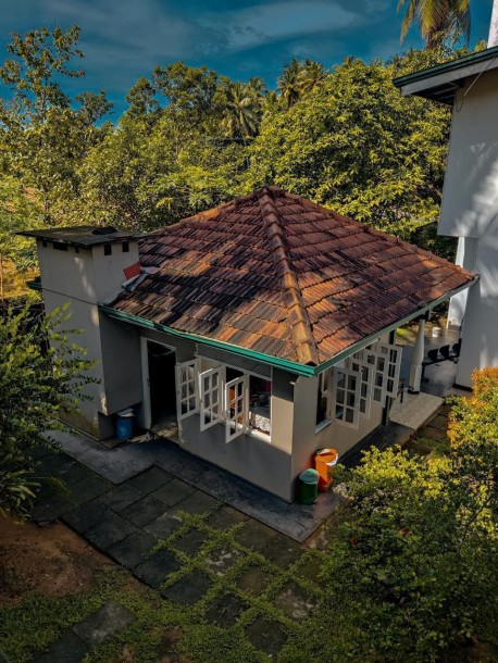 Luxury house with furniture and commercial buildings for sale in Alawwa-1
