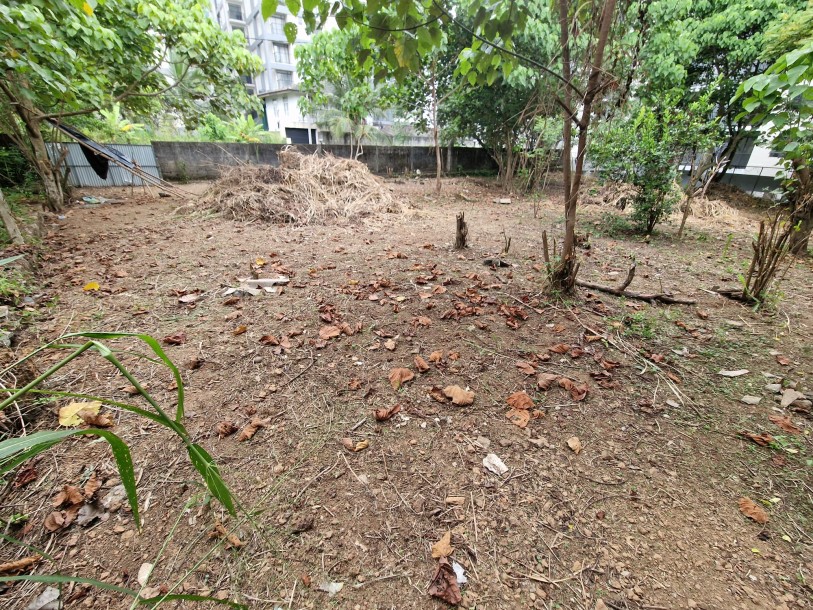 Land for Sale in Thalawathugoda-3