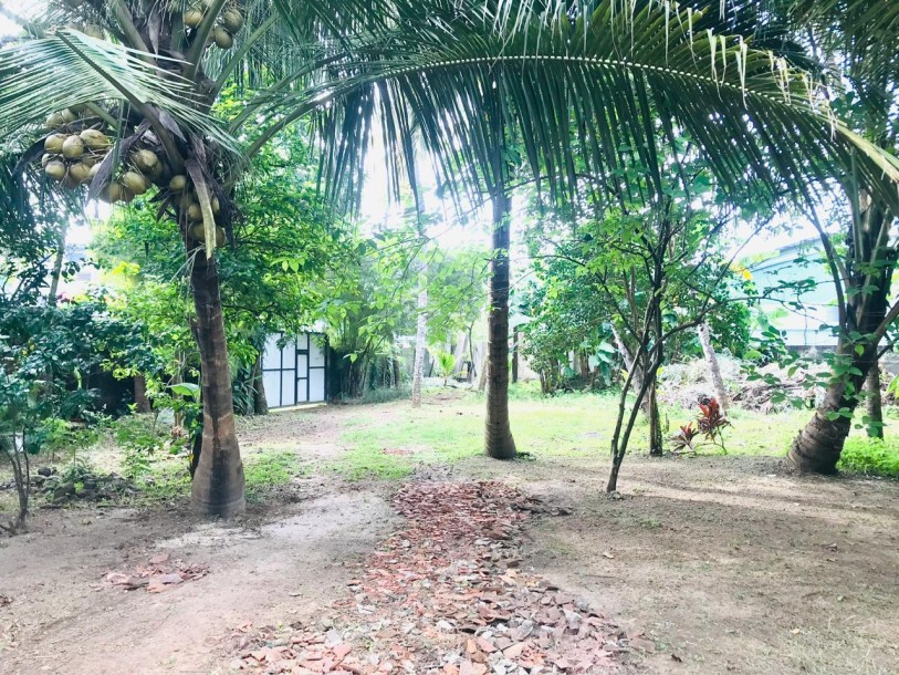 Prime Commercial Land for Rent in Kiribathgoda Town-6