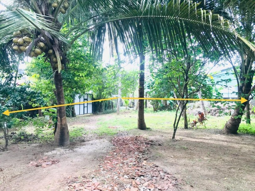 Prime Commercial Land for Rent in Kiribathgoda Town-2