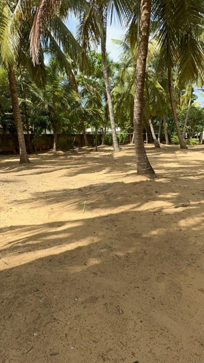 Massive Commercial Land for Sale in Negombo-2