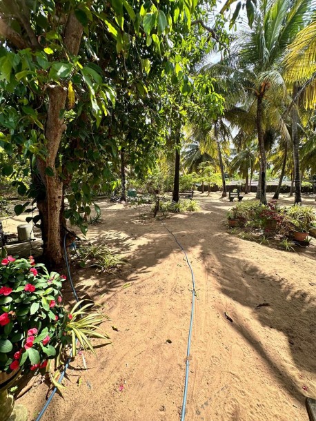 Massive Commercial Land for Sale in Negombo-1