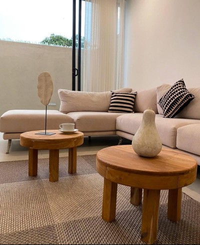 Elegant 4-Bedroom Fully Furnished Town House in Mount Lavinia-4