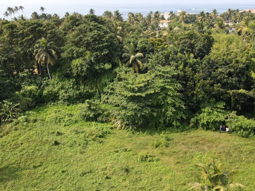 Massive Land for Sale in Boossa-5