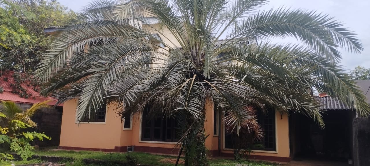 🌊 Spacious 3 Bedroom House on 18 Perches for Sale in Lunawa, Moratuwa | LKR 38 Million (Negotiable)-3