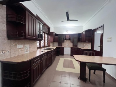 Commercial House for Rent at Skelton Road.-7