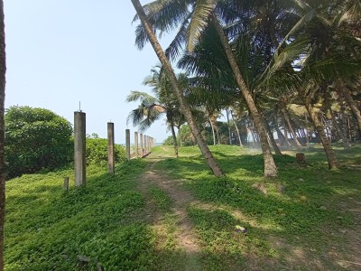Beach front land for Sale in Payagala