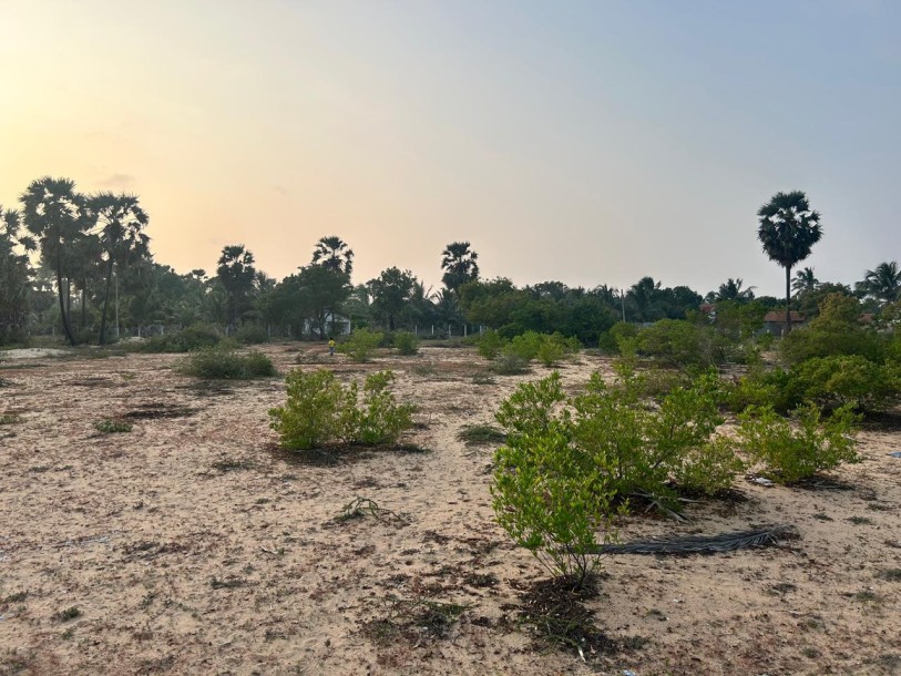 2.8 Acre Land for Sale in Kalpitiya | Ideal for Tourism or Villa Project | Clear Deeds-6