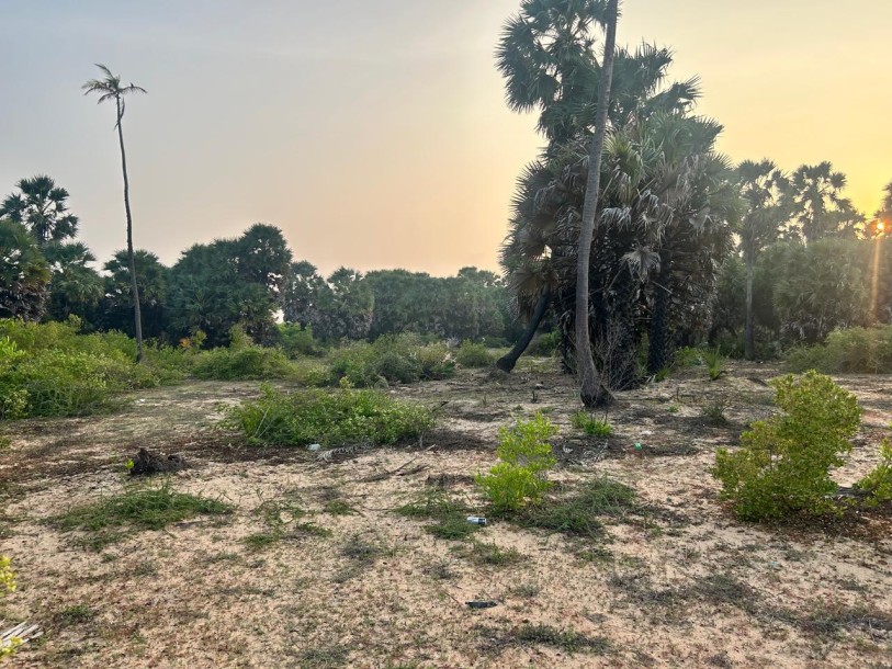 2.8 Acre Land for Sale in Kalpitiya | Ideal for Tourism or Villa Project | Clear Deeds-5