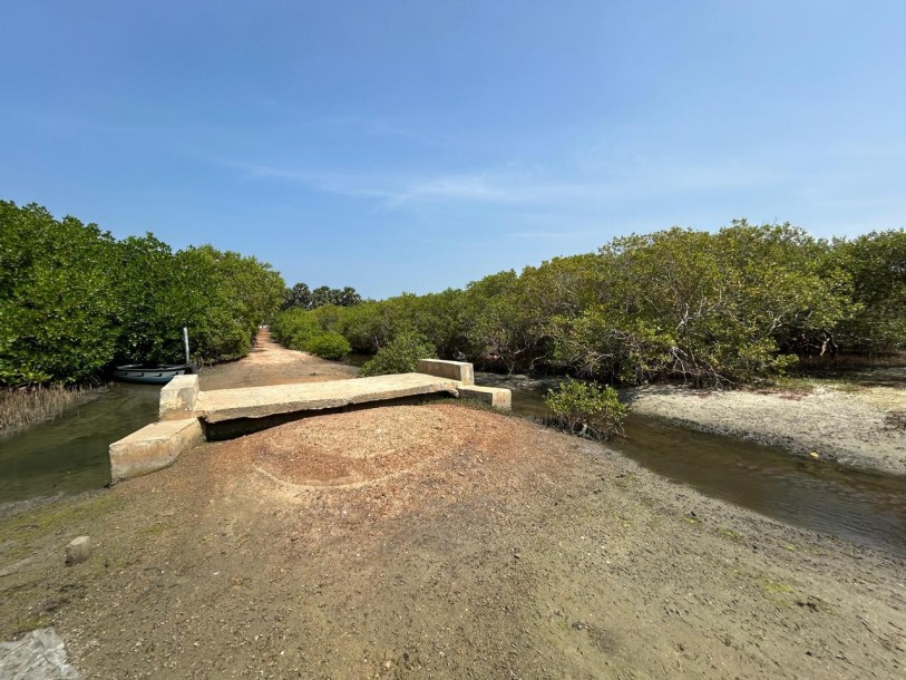 2.8 Acre Land for Sale in Kalpitiya | Ideal for Tourism or Villa Project | Clear Deeds-3