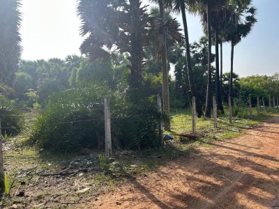 2.8 Acre Land for Sale in Kalpitiya | Ideal for Tourism or Villa Project | Clear Deeds