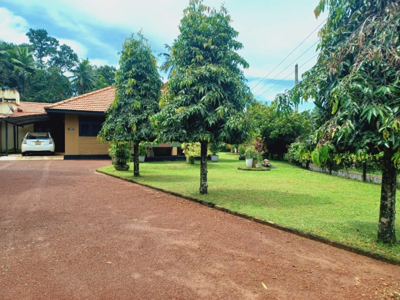 House with a large garden For Sale in Negombo-1