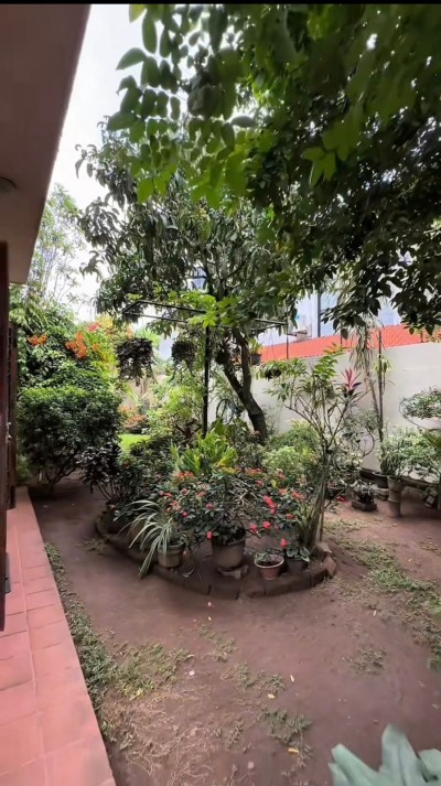 Property for Sale in Colombo 07-5