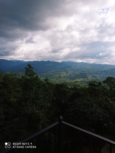 11 Bedroom Boutique Guesthouse in Nillambe, Kandy for Sale | LKR 79 Million-7