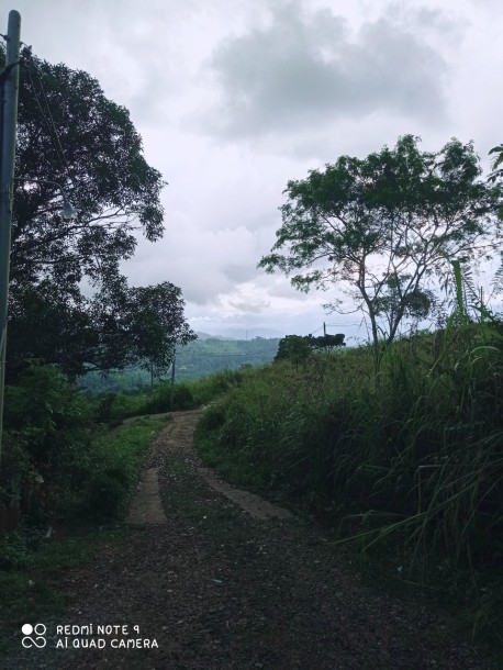 11 Bedroom Boutique Guesthouse in Nillambe, Kandy for Sale | LKR 79 Million-11