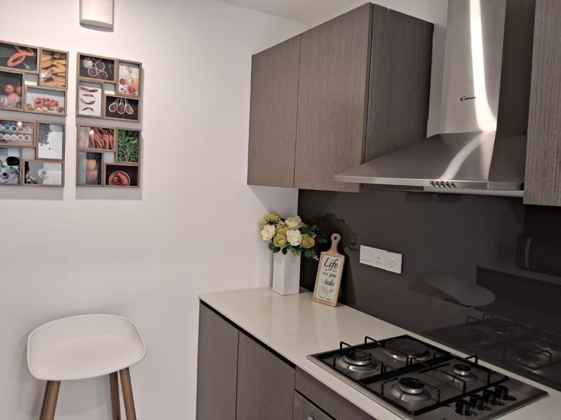 Fairway Urban Homes for Sale in Battaramulla-7