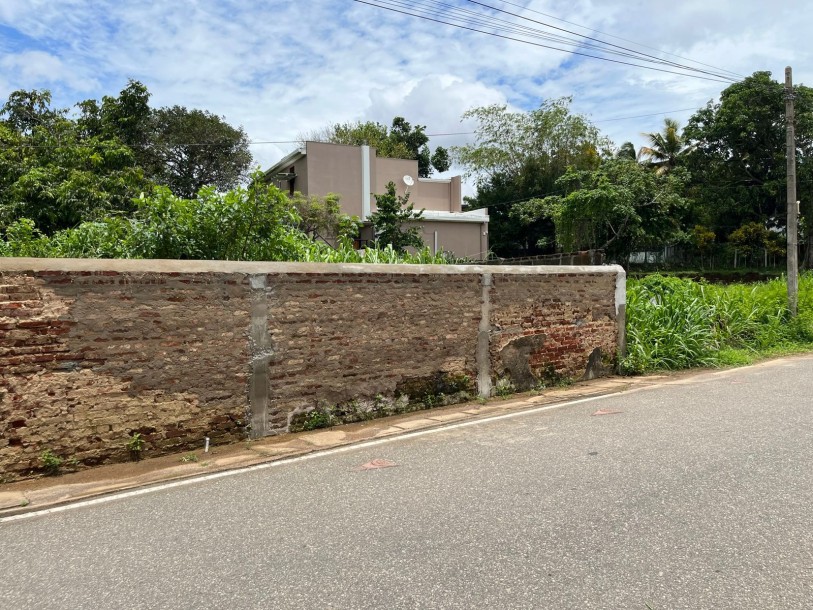 30 Perch Bare Land for Sale at Ethul Kotte | LKR 3.75 Million Per Perch-2