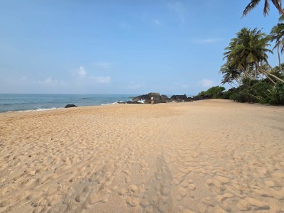 205 Perches Beachfront Land for Sale in Balapitiya | LKR 411.2 Million-2