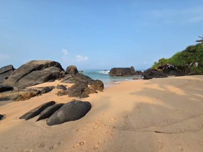 205 Perches Beachfront Land for Sale in Balapitiya | LKR 411.2 Million