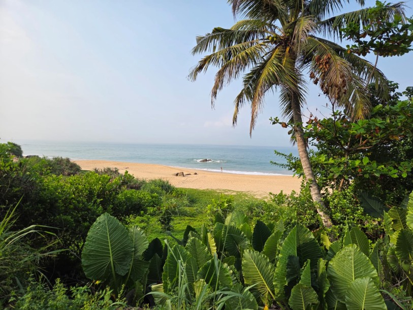 205 Perches Beachfront Land for Sale in Balapitiya | LKR 411.2 Million-3