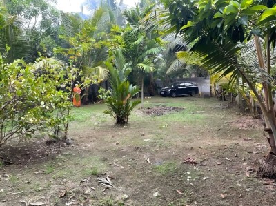 20 Perches Land for Sale in Wattala | LKR 2.5 Million Per Perch
