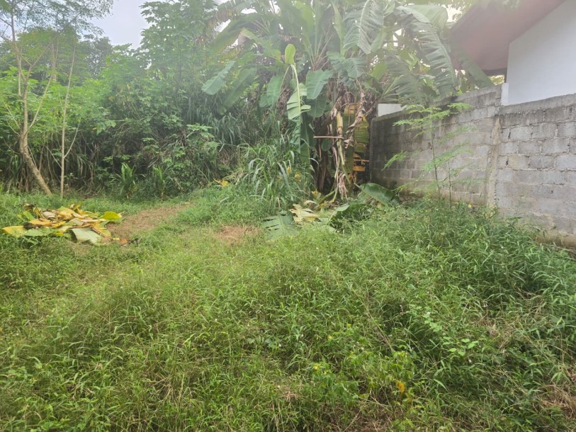 12 Perch Land for Sale in Dedigamuwa, Athurugiriya | LKR 10 Mn(LA4734)-6