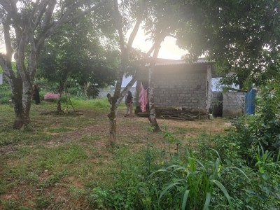 12 Perch Land for Sale in Dedigamuwa, Athurugiriya | LKR 10 Mn(LA4734)-2