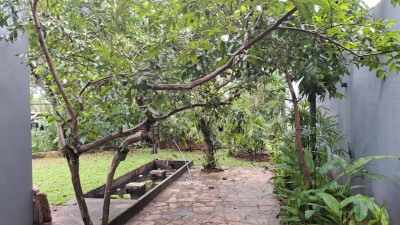 5BR House for Rent in Boralesgamuwa | LKR 275,000/Month (HS4727)-22