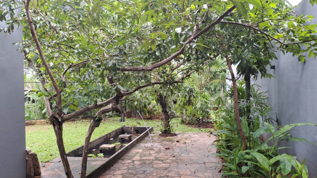 5BR House for Rent in Boralesgamuwa | LKR 275,000/Month (HS4727)-22