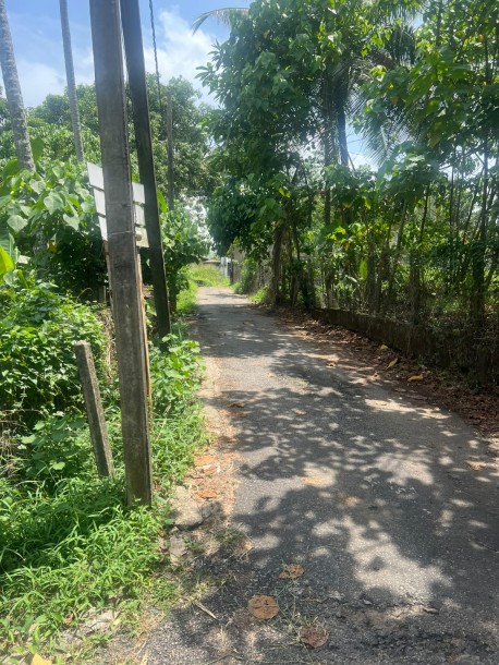 175 Perch Land for Sale in Homagama | LKR 253.75 Million (LA4716)-5