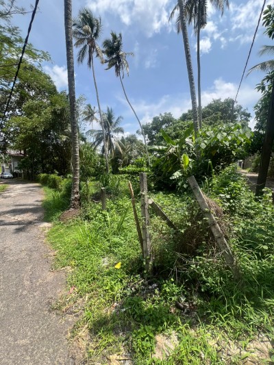 175 Perch Land for Sale in Homagama | LKR 253.75 Million (LA4716)-4
