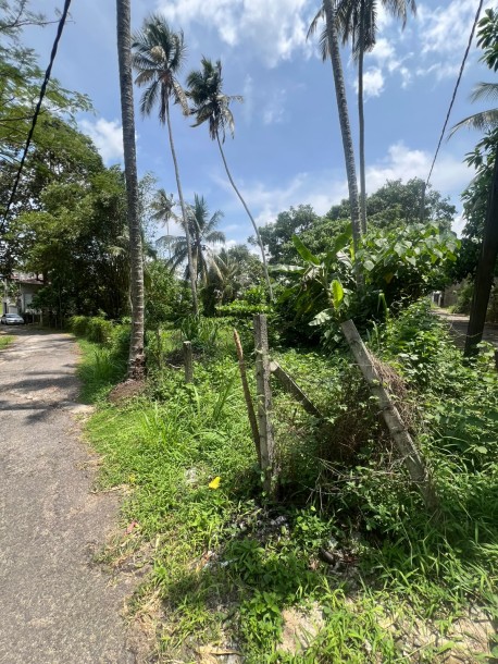175 Perch Land for Sale in Homagama | LKR 253.75 Million (LA4716)-4