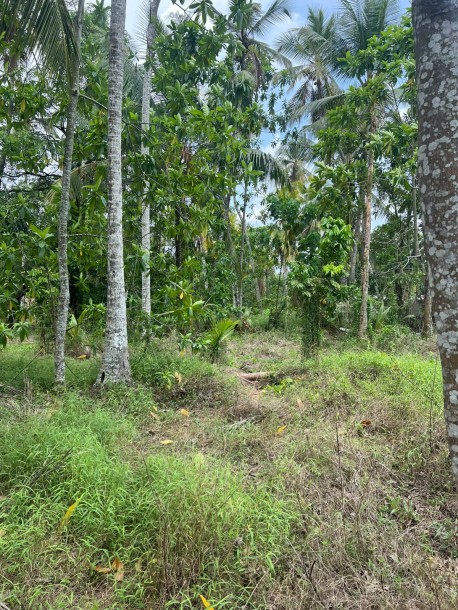 175 Perch Land for Sale in Homagama | LKR 253.75 Million (LA4716)-2