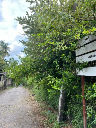 175 Perch Land for Sale in Homagama | LKR 253.75 Million (LA4716)-3
