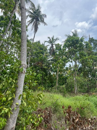 175 Perch Land for Sale in Homagama | LKR 253.75 Million (LA4716)