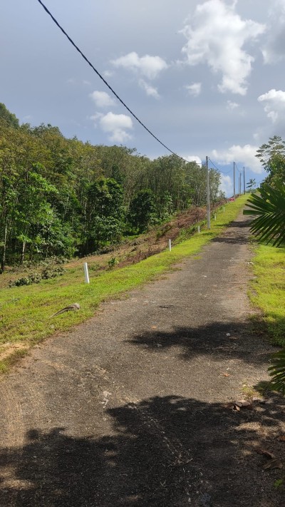 400 Perch Land for Sale in Kosgama | LKR 60 Million (LA4750)-4