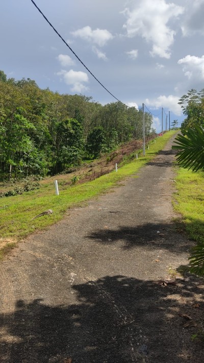 400 Perch Land for Sale in Kosgama | LKR 60 Million (LA4750)-2