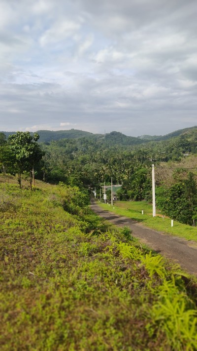 400 Perch Land for Sale in Kosgama | LKR 60 Million (LA4750)