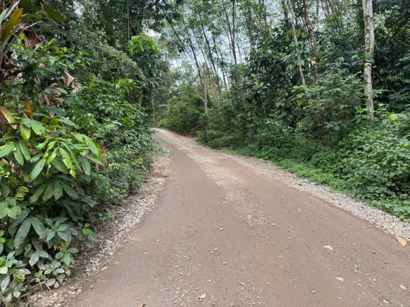 6.8 Acre Land for Sale in Hanwella | LKR 85 Million(LA4730)-10