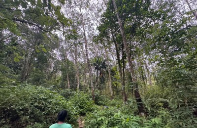 6.8 Acre Land for Sale in Hanwella | LKR 85 Million(LA4730)-2