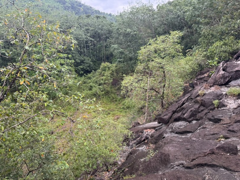 6.8 Acre Land for Sale in Hanwella | LKR 85 Million(LA4730)-5