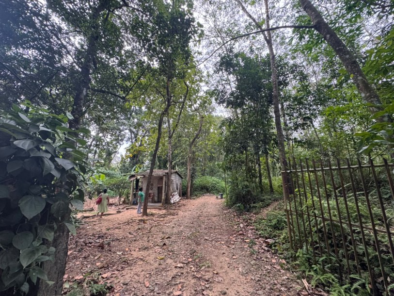 6.8 Acre Land for Sale in Hanwella | LKR 85 Million(LA4730)-4